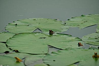 《胡闹厨房：全都好吃》四折限时特惠开启